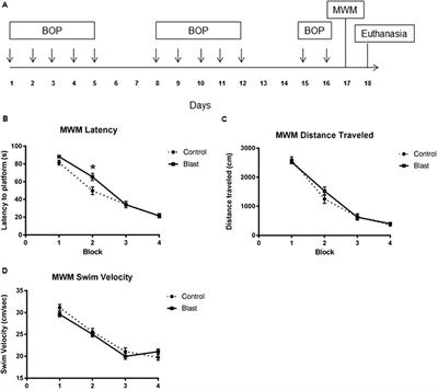 Repeated Low Intensity Blast Exposure Is Associated with Damaged Endothelial Glycocalyx and Downstream Behavioral Deficits